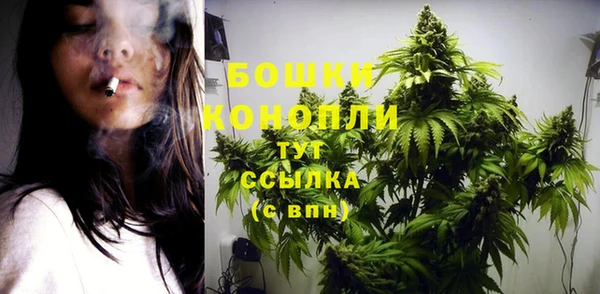 молекула духа Осинники