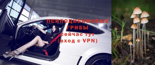 спайс Осташков
