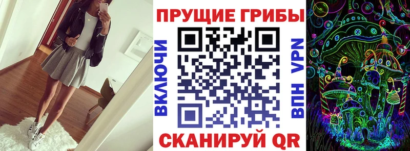 Галлюциногенные грибы Magic Shrooms  darknet клад  Клинцы  как найти закладки 