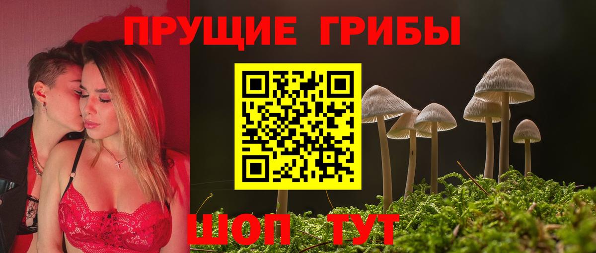 Галлюциногенные грибы GOLDEN TEACHER Клинцы