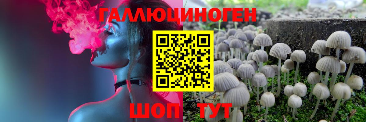 Псилоцибиновые грибы ЛСД Клинцы