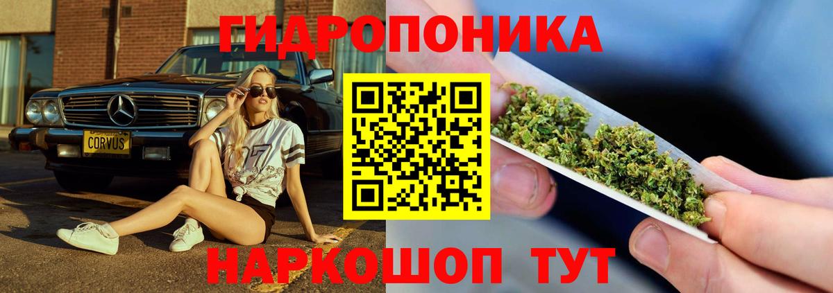Бошки Шишки семена  Конопля SATIVA & INDICA  Клинцы  Марихуана конопля 